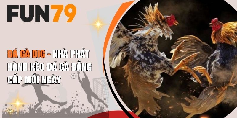 Đá Gà DIG - Nhà Phát Hành Kèo Đá Gà Đẳng Cấp Mỗi Ngày