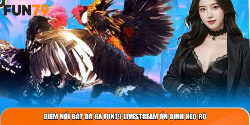 Điểm nổi bật Đá Gà Fun79 livestream ổn định kèo rõ