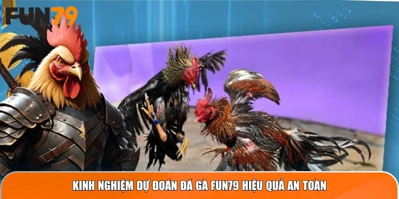 Kinh nghiệm dự đoán Đá Gà Fun79 hiệu quả an toàn