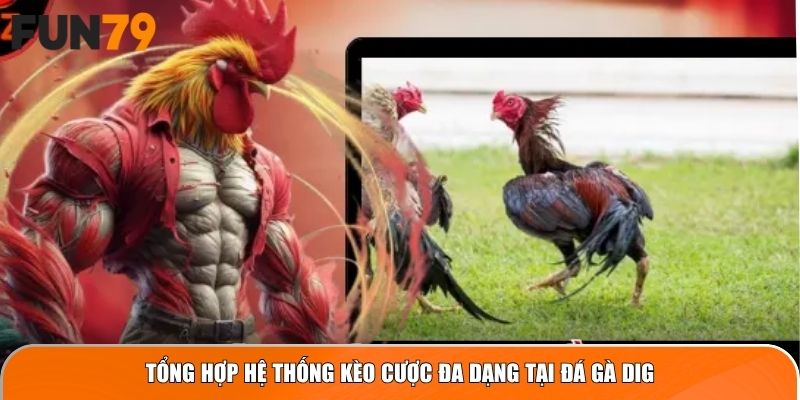 Tổng hợp hệ thống kèo cược đa dạng tại Đá Gà DIG